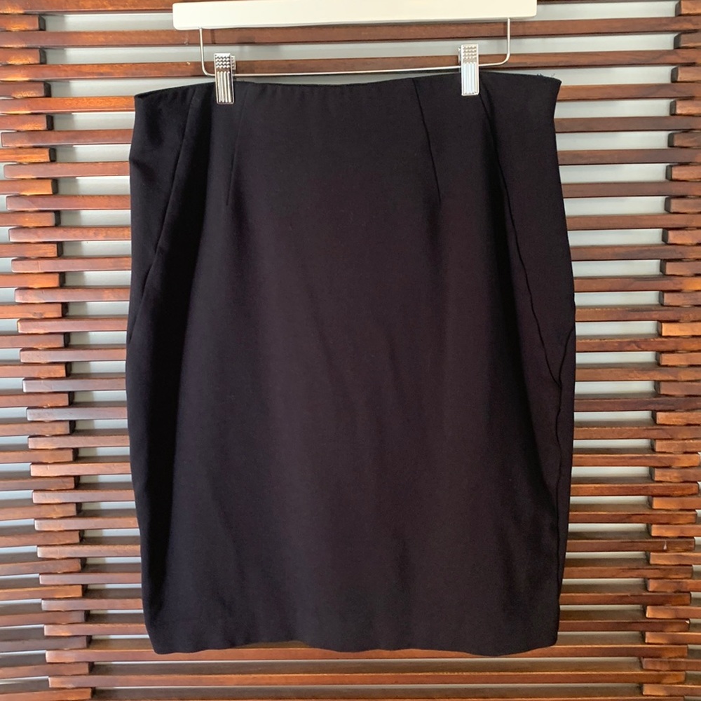 Lane Bryant skirt